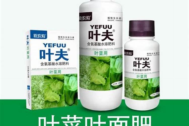 使叶面深绿的叶面肥,使叶色浓绿的是什么肥