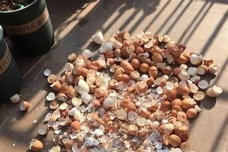 蛋壳做肥需要怎样处理？