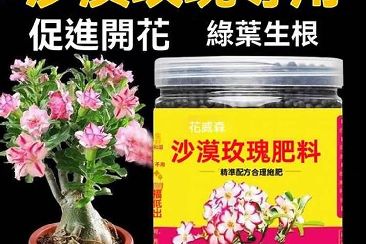 香而雅花肥用户评价怎么样