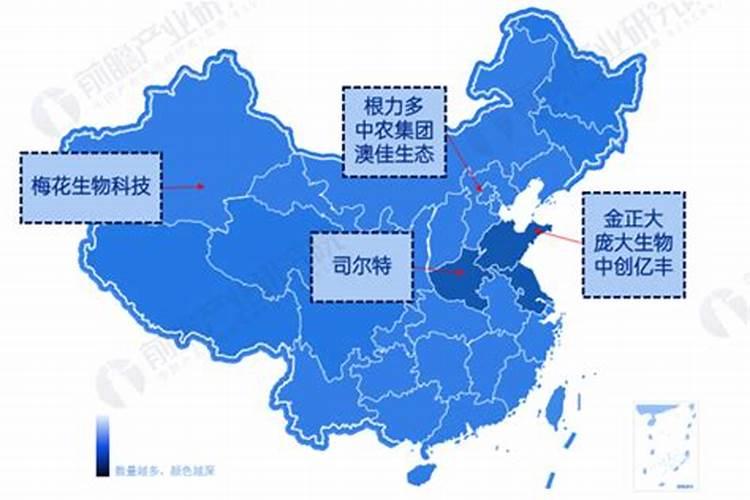 山东有机肥厂家有哪些