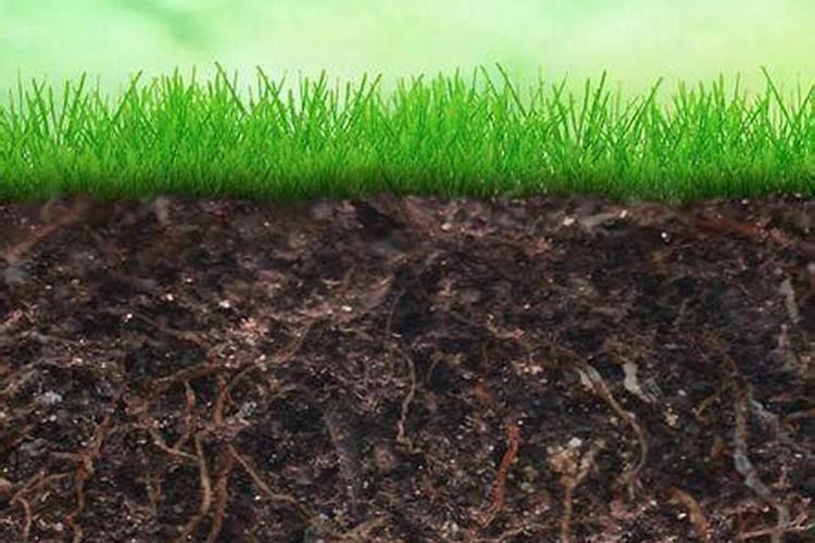 硼肥我国土壤的硼素状况及有效性