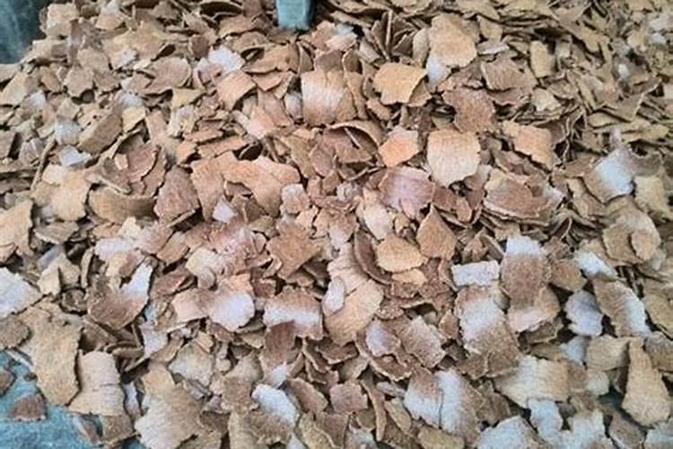 菜籽饼水肥和什么搭配好