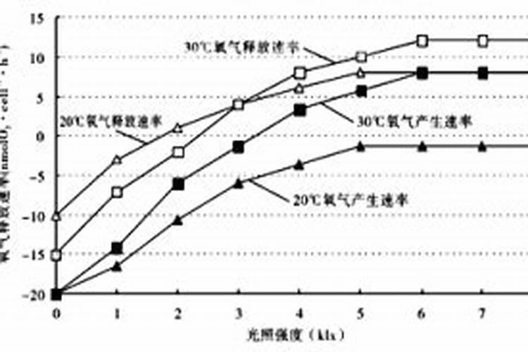 小球藻在家怎么培养