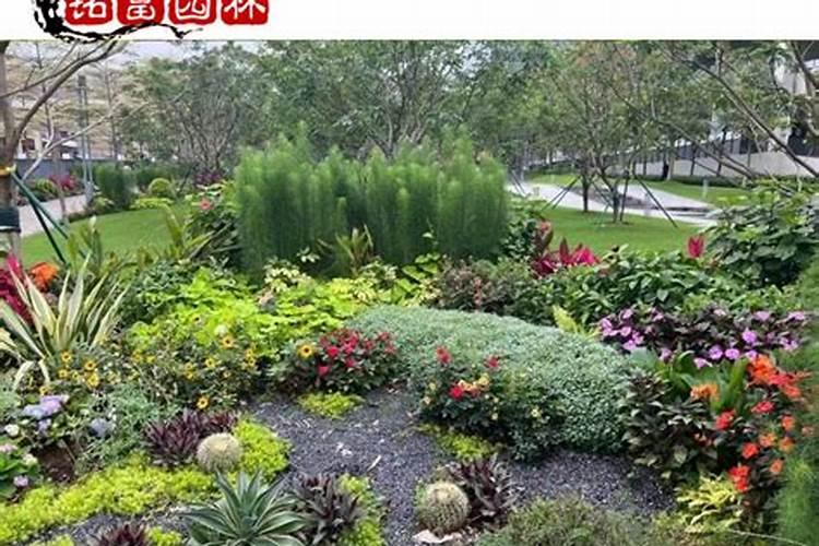 在盆栽植物土面铺上铺面石,优缺点很多,该如何正确使用铺面石？