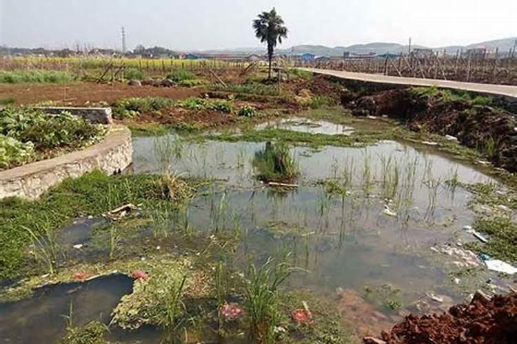 国家为什么要限制使用农药和化肥呢？