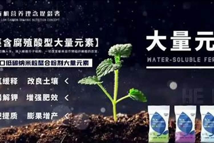 防治红红蜘蛛的同时,是否能喷叶面肥