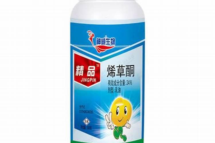 玉米苗大了能用烯草酮代替吗