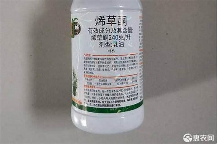 草莓路边打了烯草酮和敌草快之后草莓新叶变黄怎么解救？