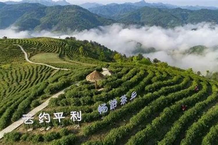 富硒土壤国家标准