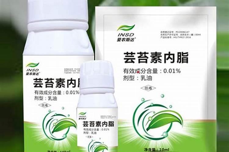 24一表芸苔素内酯作用