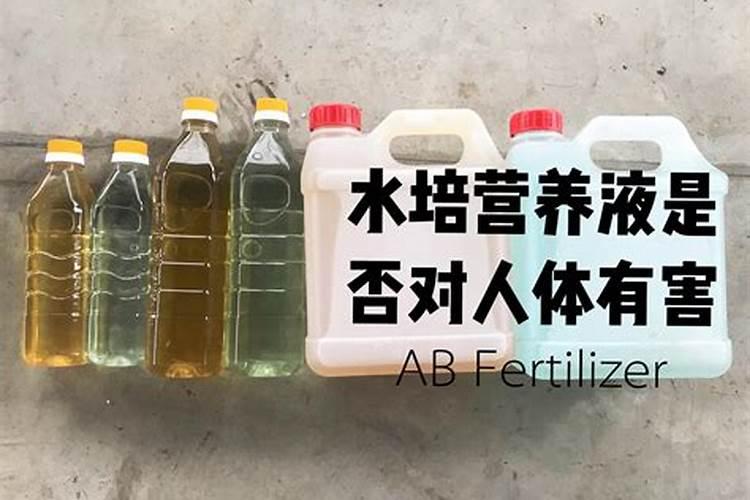 水培营养液怎么配