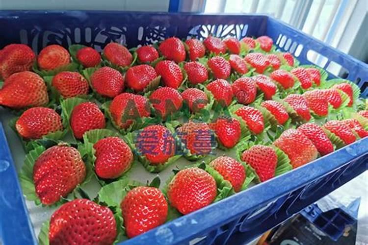 好的水溶肥如何选择