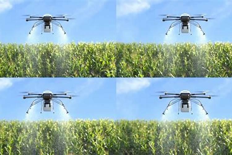 硼肥的用量、作用及使用方法