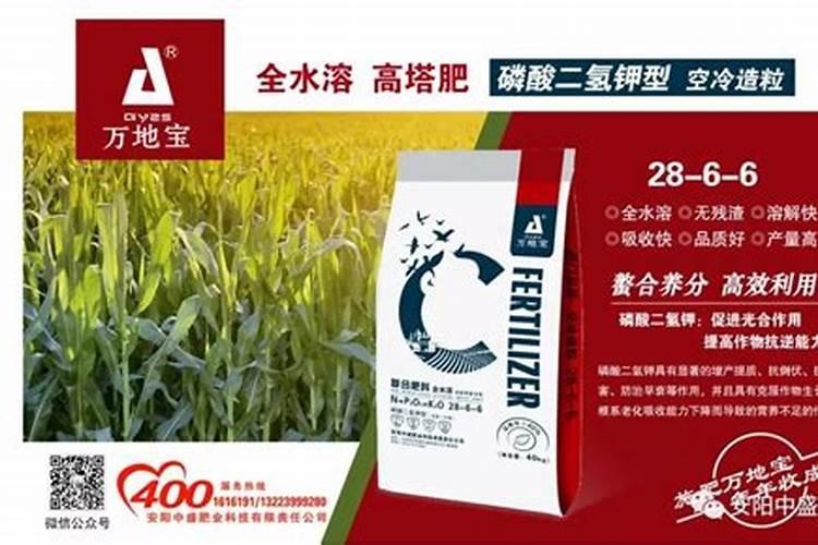 种菜用尿素好还是用复合肥好呢