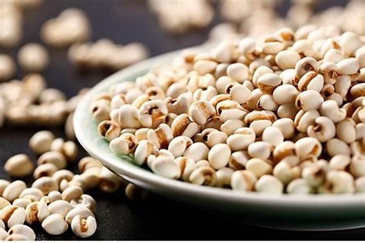 煮过的红豆和薏米放土里养花可以么