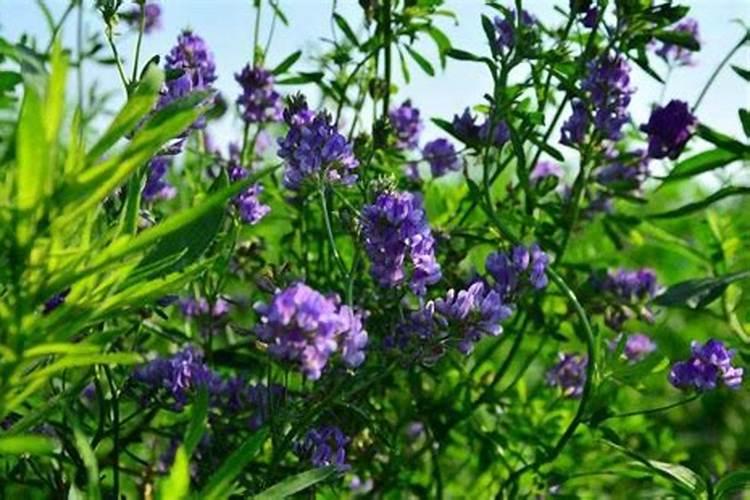 中国最大的磷矿企业,磷复肥产能亚洲第1,Q3社保入股,市盈率仅6倍百度...