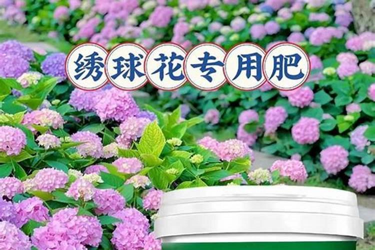 养花需要什么肥料