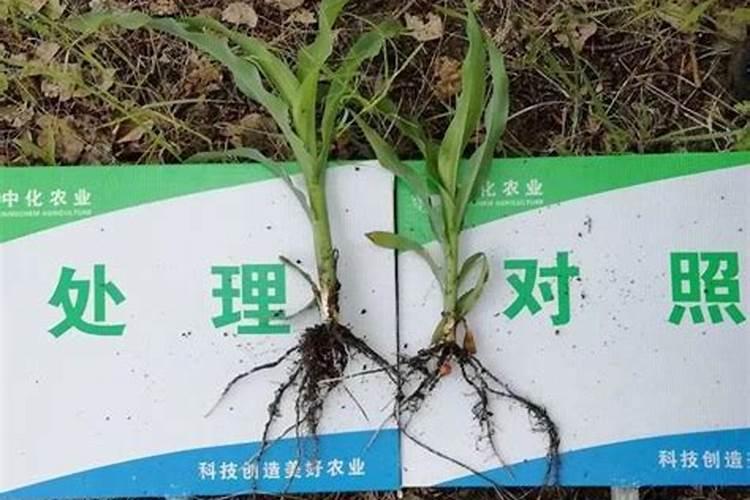 磷肥质量好坏怎么来辨别