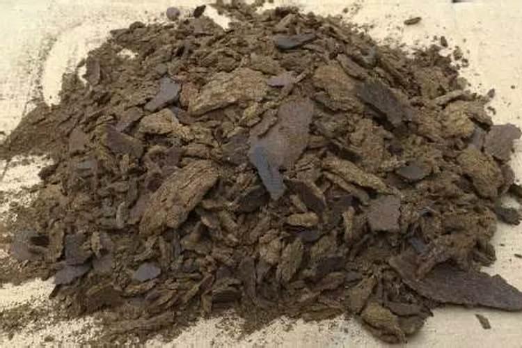 什么是“腐熟的豆饼水”？怎么做才能用来浇花呢？