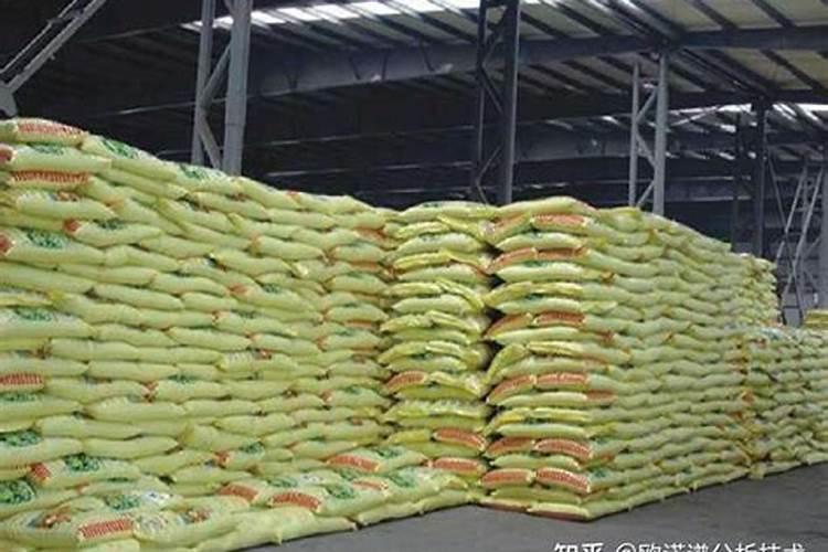 硅肥对水稻作用有多大？