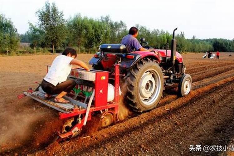 冬小麦什么时候追肥最好