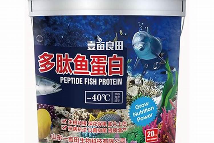 鱼的饲料是怎么做的