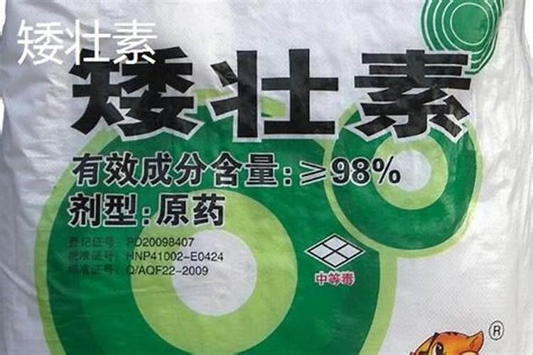 苇河镇属于哪个市