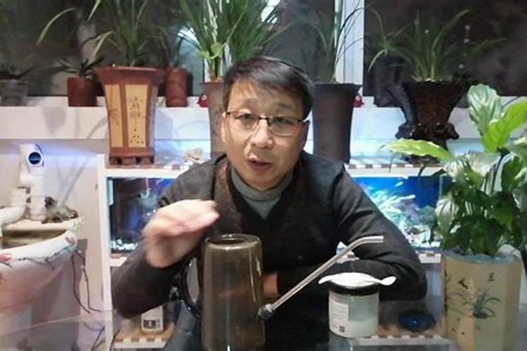 如何判断兰花缺水缺肥,如何补水补肥