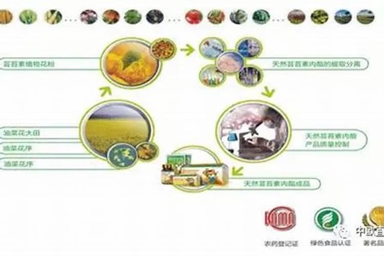 叶面肥排名榜前十名