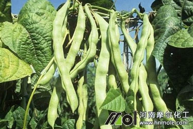 云图控股是个什么公司