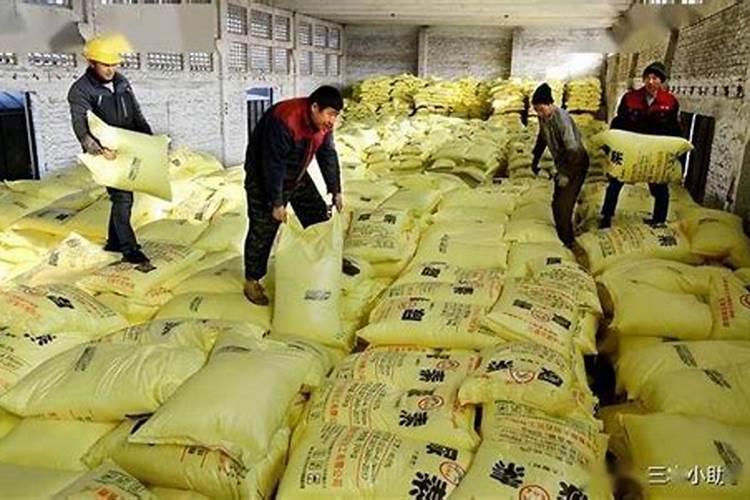 毛豆追肥追什么肥料好