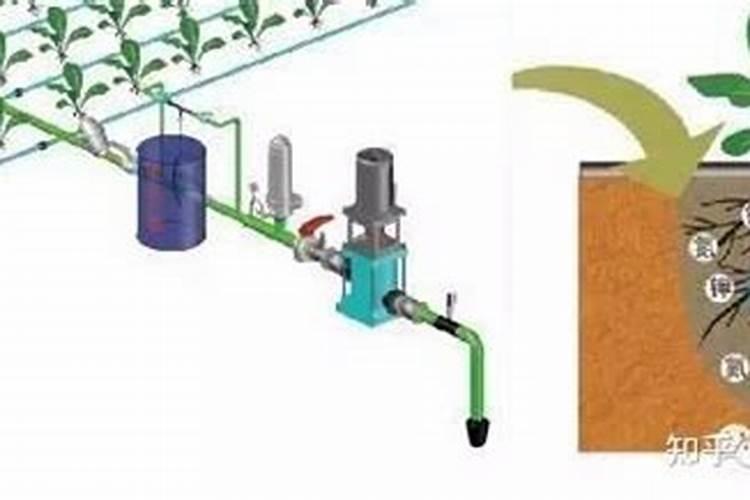 水溶肥好还是复合肥好