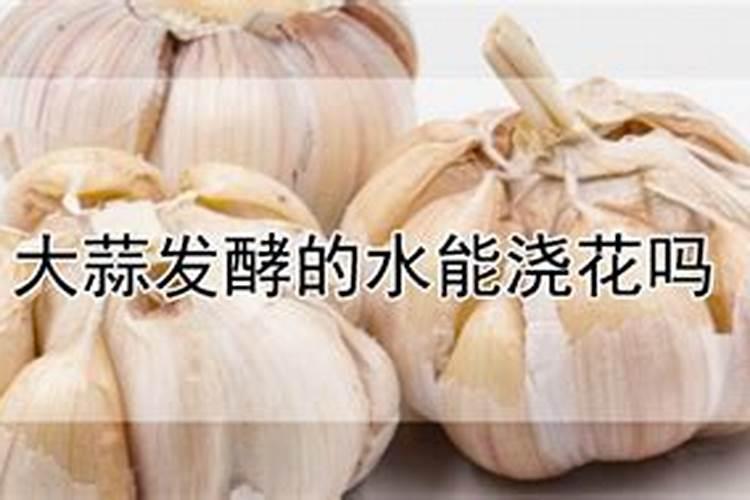 大蒜现在用什么水溶肥？