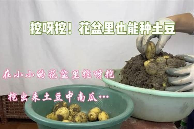 雨水是酸性还是碱性？可以浇花吗