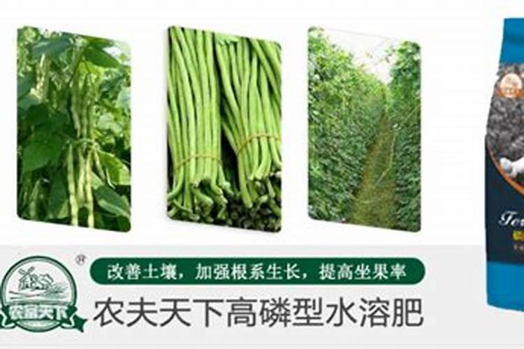豆角可以使用水溶肥吗？