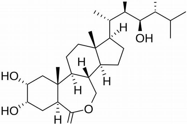 什么会影响油菜植株的生长？