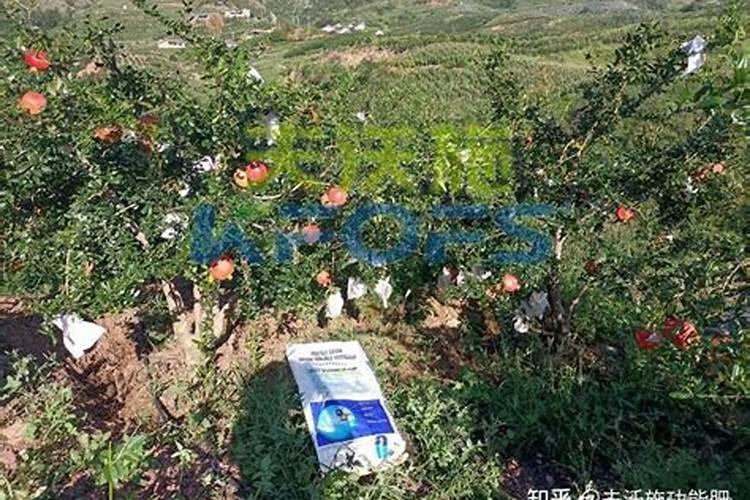 微量元素水溶肥多久用一次 微量元素水溶肥料的适用作物和使用方法百 ...