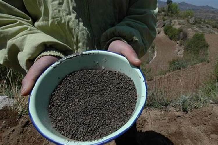 如何科学施用重过磷酸钙？