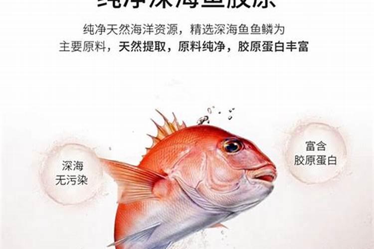 请问你们买的是什么胶原蛋白啊？