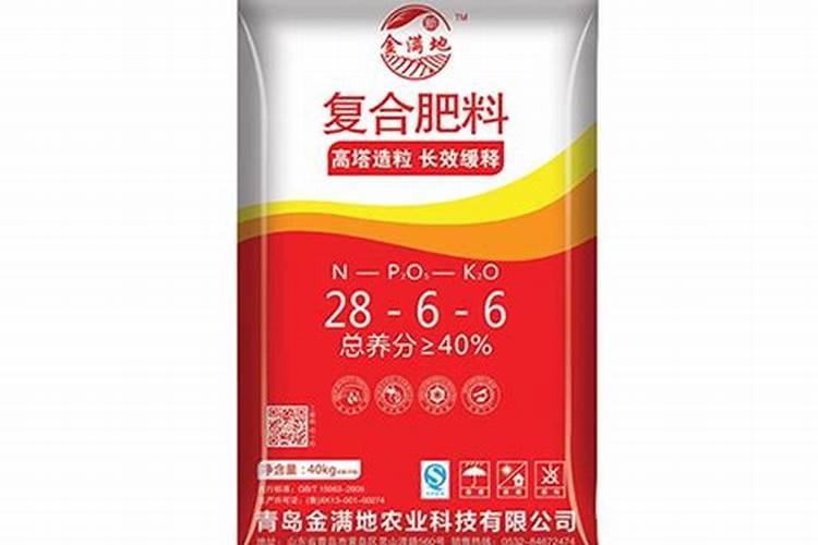 西葫芦籽怎么种？