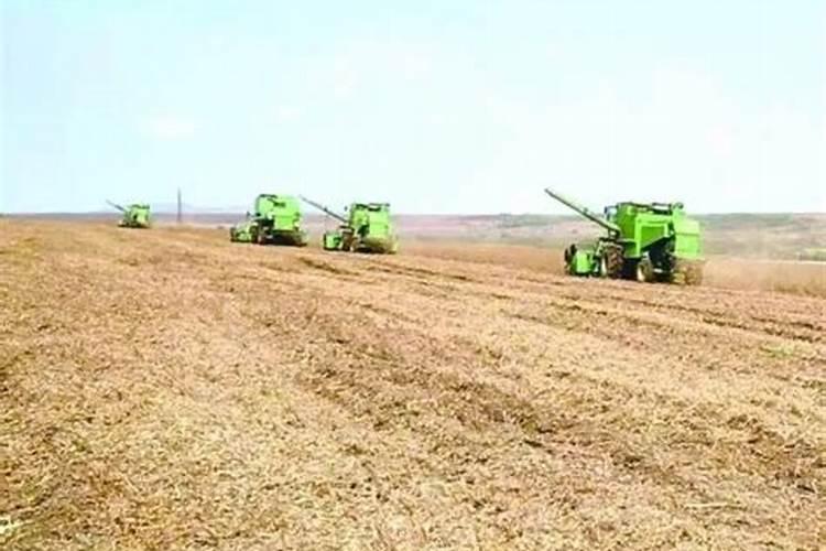 俄罗斯豆油好不好,谁吃过,哪里有卖的啊？