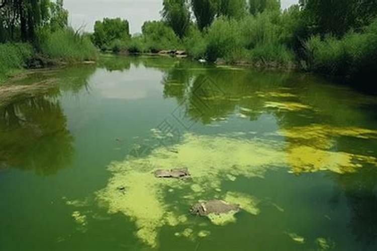 水含重金属有什么危害