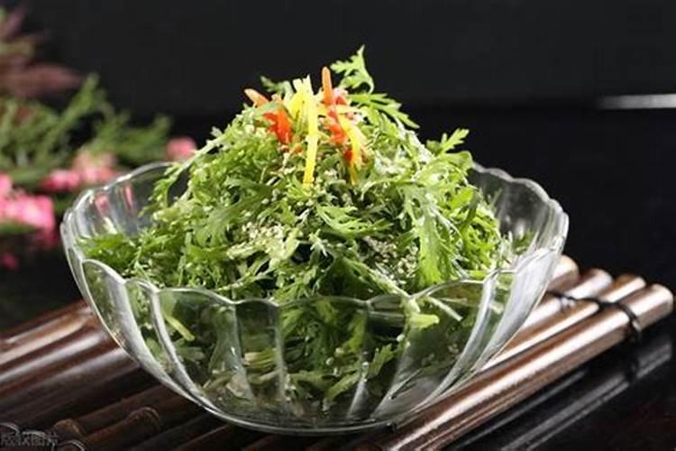 种苦苣用什么土比较好