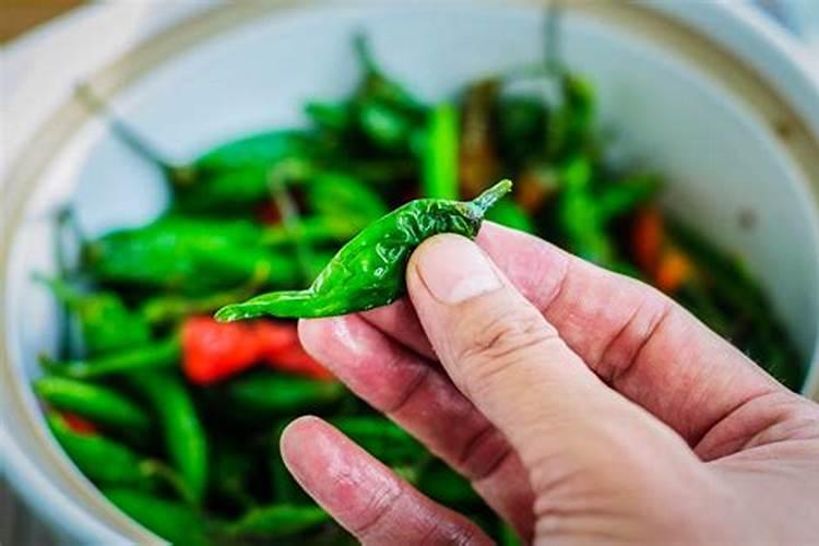 以最正确途径用白醋喷辣椒该怎么做？