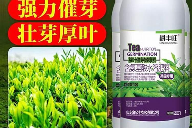 甜叶菊专用功能肥,蚌埠地区叶面肥用什么好