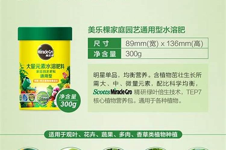 月季花怎样施肥？