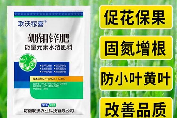 小麦打硼肥的害处