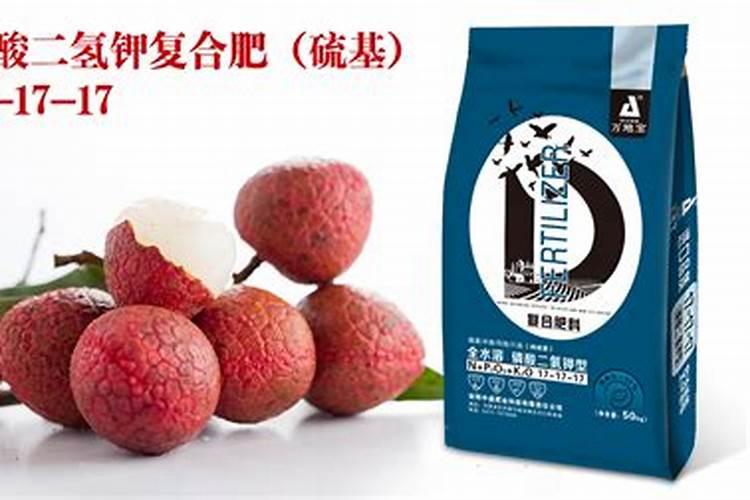 荔枝落果严重怎么补救,落果期用24D喷多少次