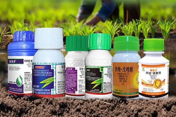 腐植肥是什么样的肥料？