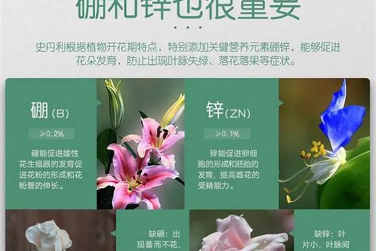 养花钾肥有哪些